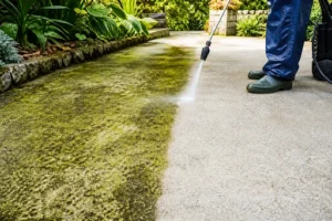 A person removing moss from concrete with a pressure washer.