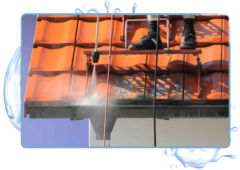 Roof Gutter Moss Treatment Redroof
