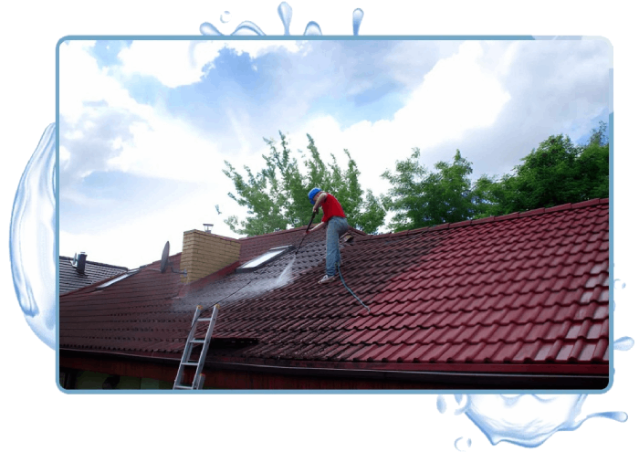 Roof Moss Treatment Redroof Frame