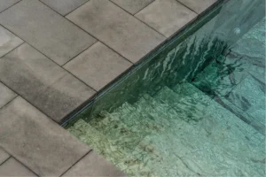 Green algae on swimming pool walls