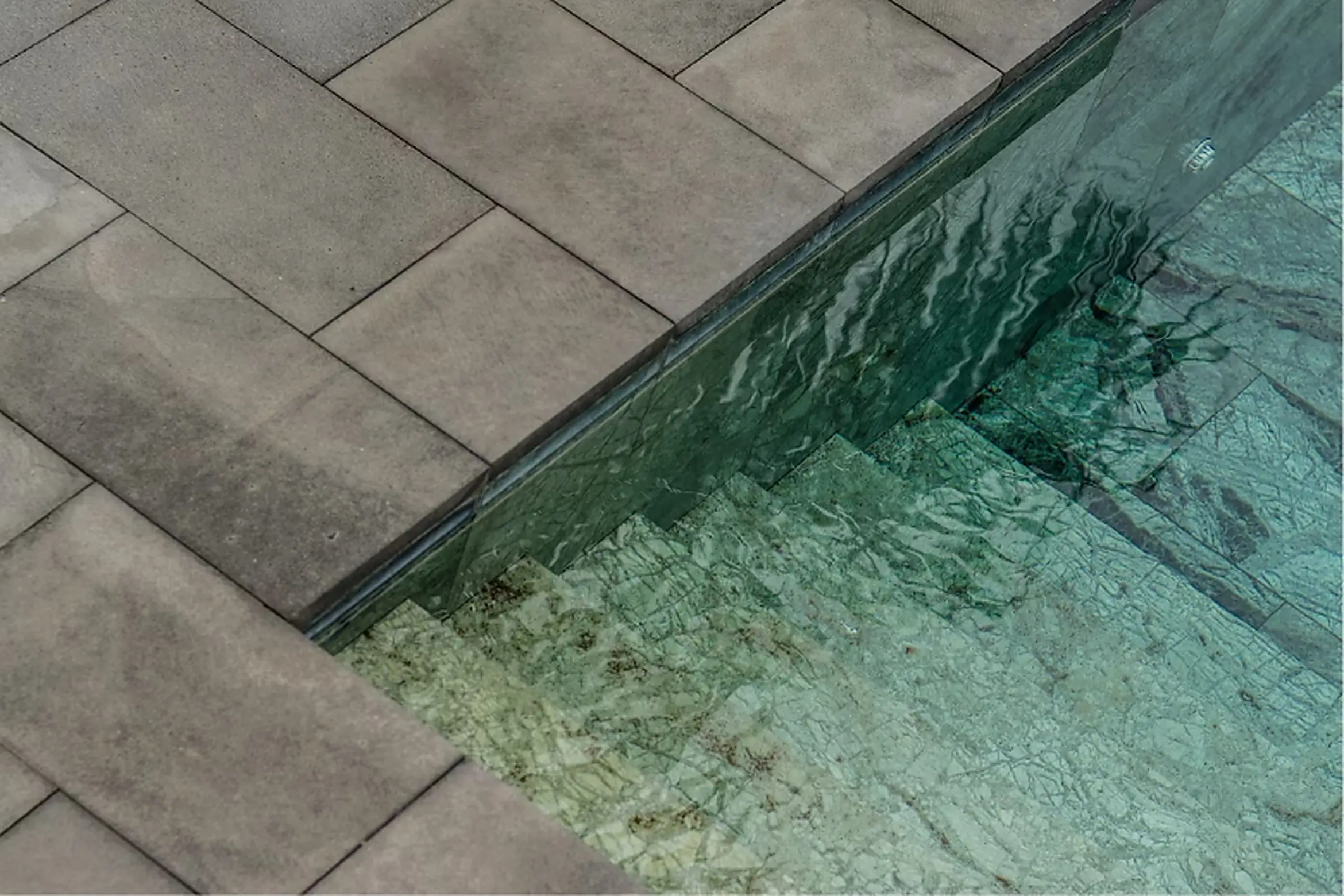 Green algae on swimming pool walls
