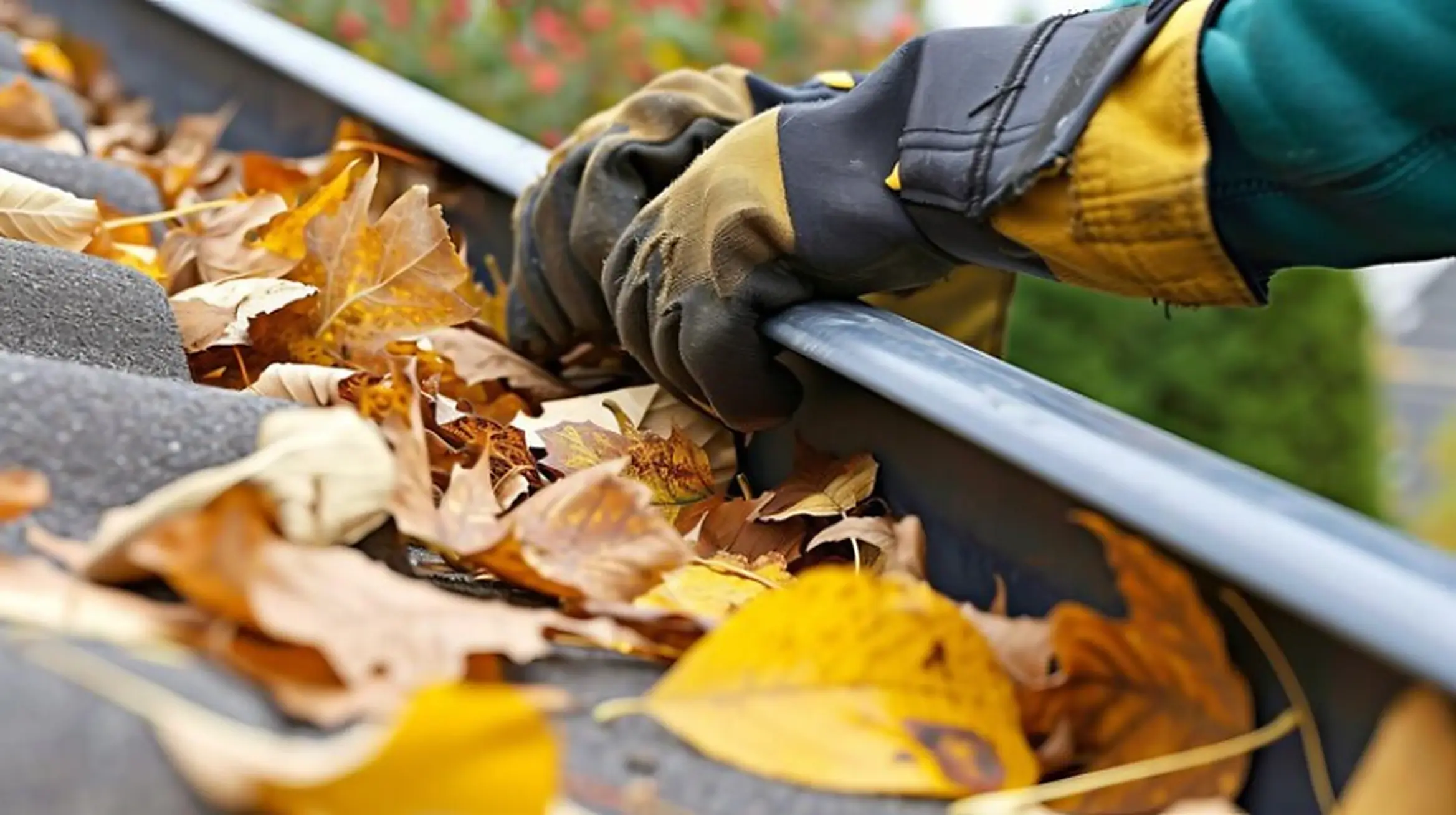 Worker removing leaves from a gutter